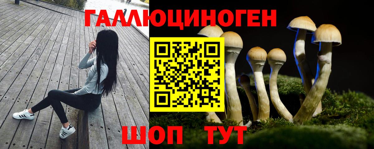 Бузулук  наркотики  Вход с VPN  Псилоцибиновые грибы GOLDEN TEACHER 